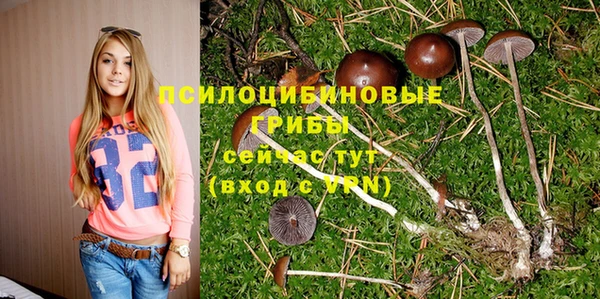 дурь Алзамай