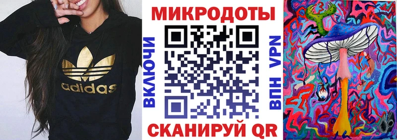 Галлюциногенные грибы Psilocybe  где можно купить   Пустошка 