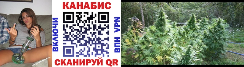 kraken онион  Пустошка  Конопля VHQ 